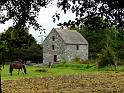 Bunratty- 164